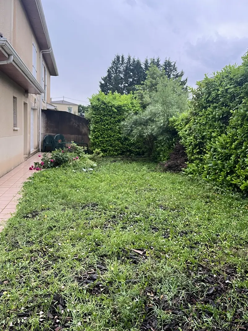 Entretien et remise en état du jardin avant travaux à mérignac