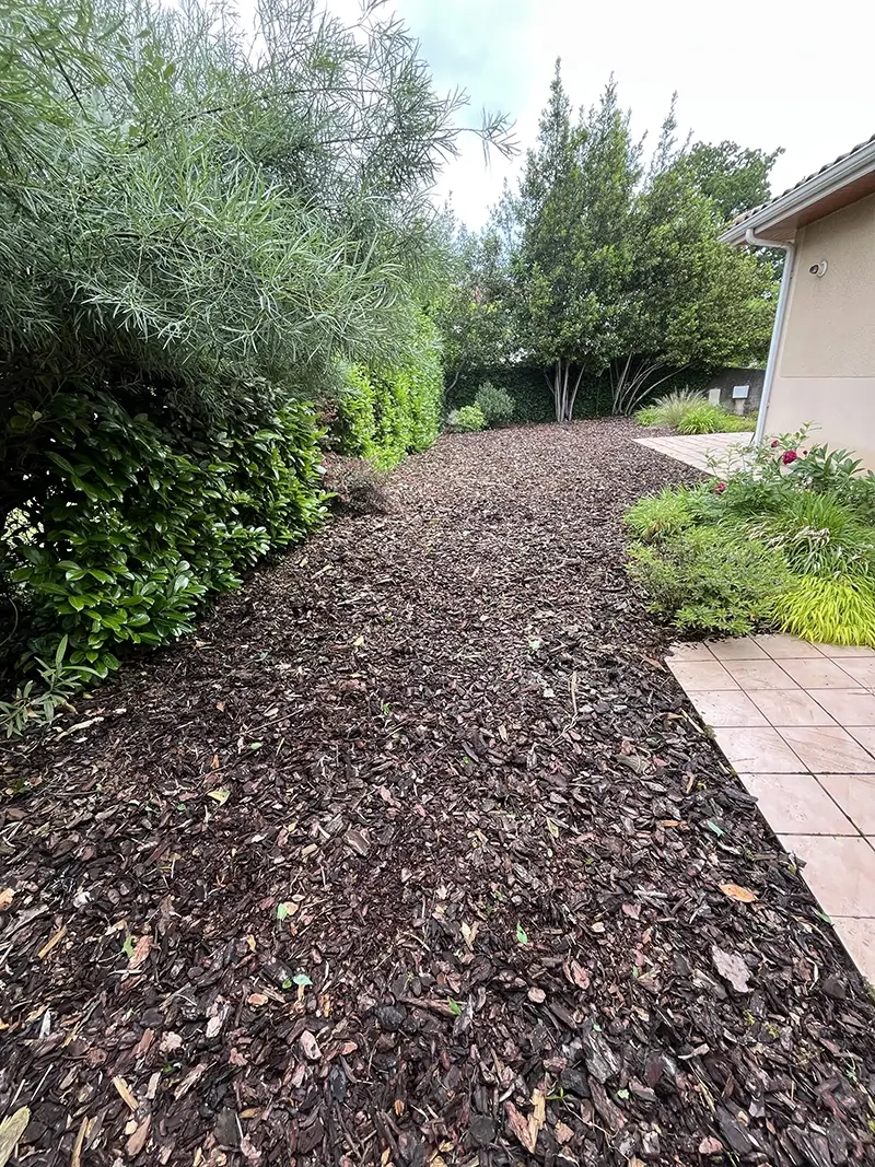 Entretien et remise en état du jardin après travaux à mérignac