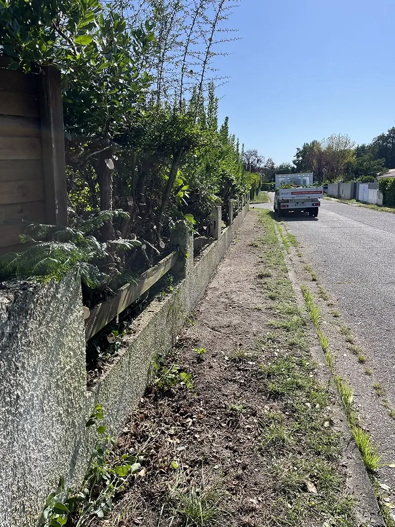 Haie taillée le long de la cloture par Mathieu Paysage à Mérignac